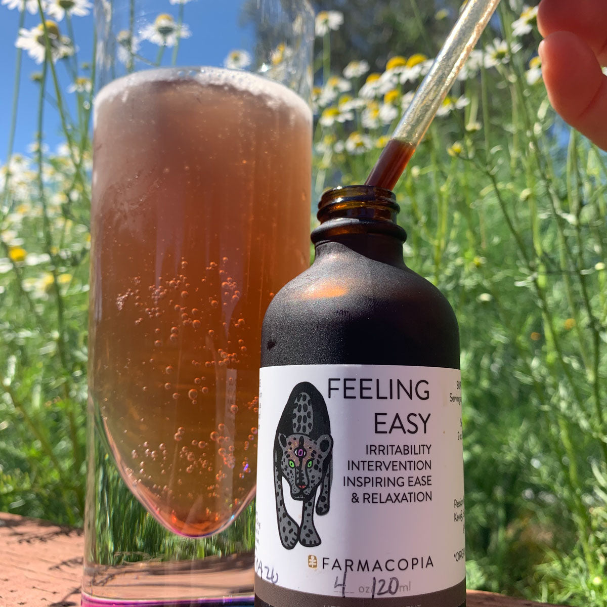 Nervine Fizz – Farmacopia