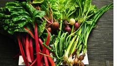 Roasted Sunchokes, Mushrooms, and Rainbow Chard with Sage, Rosemary & – Farmacopia