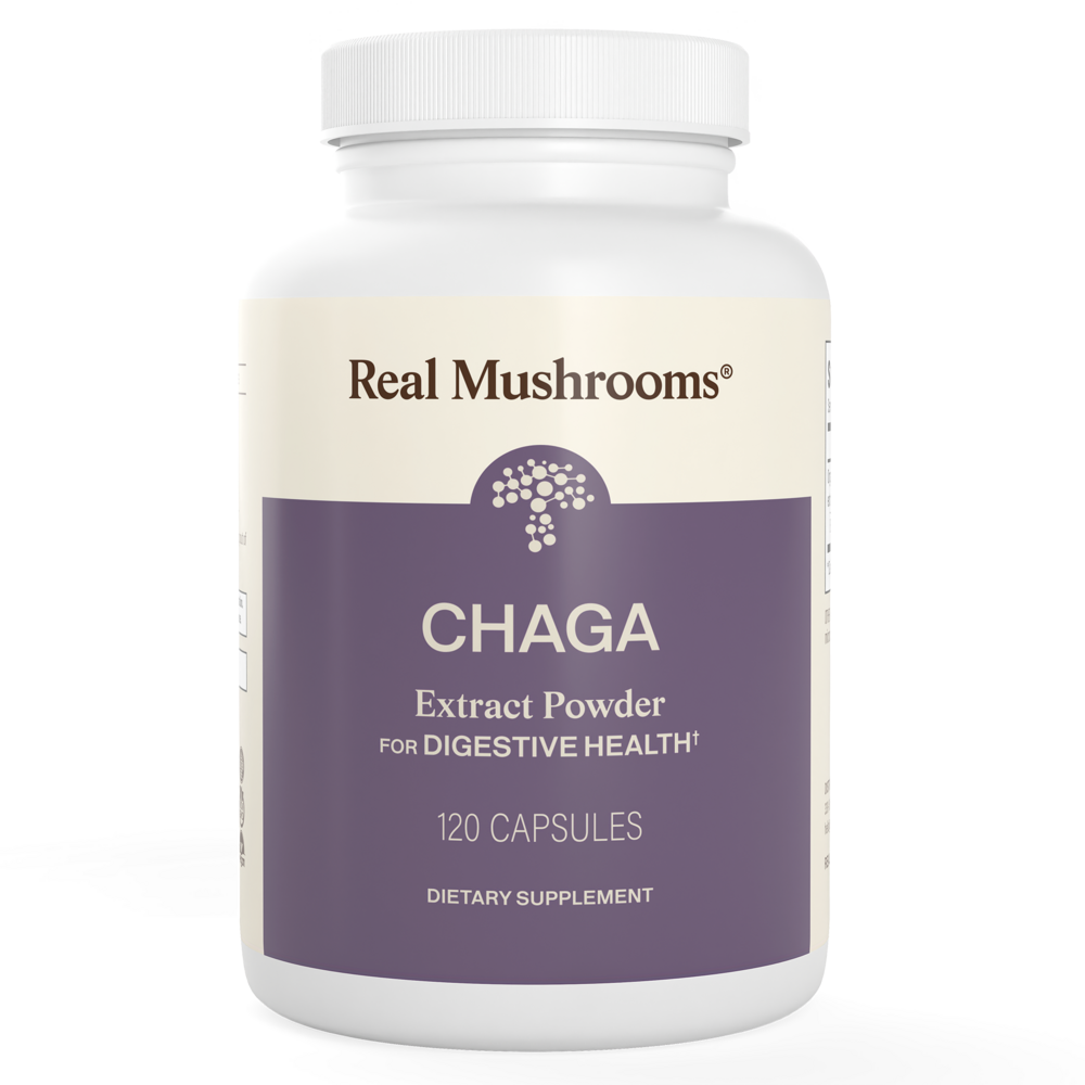 Organic Chaga Extract Cap