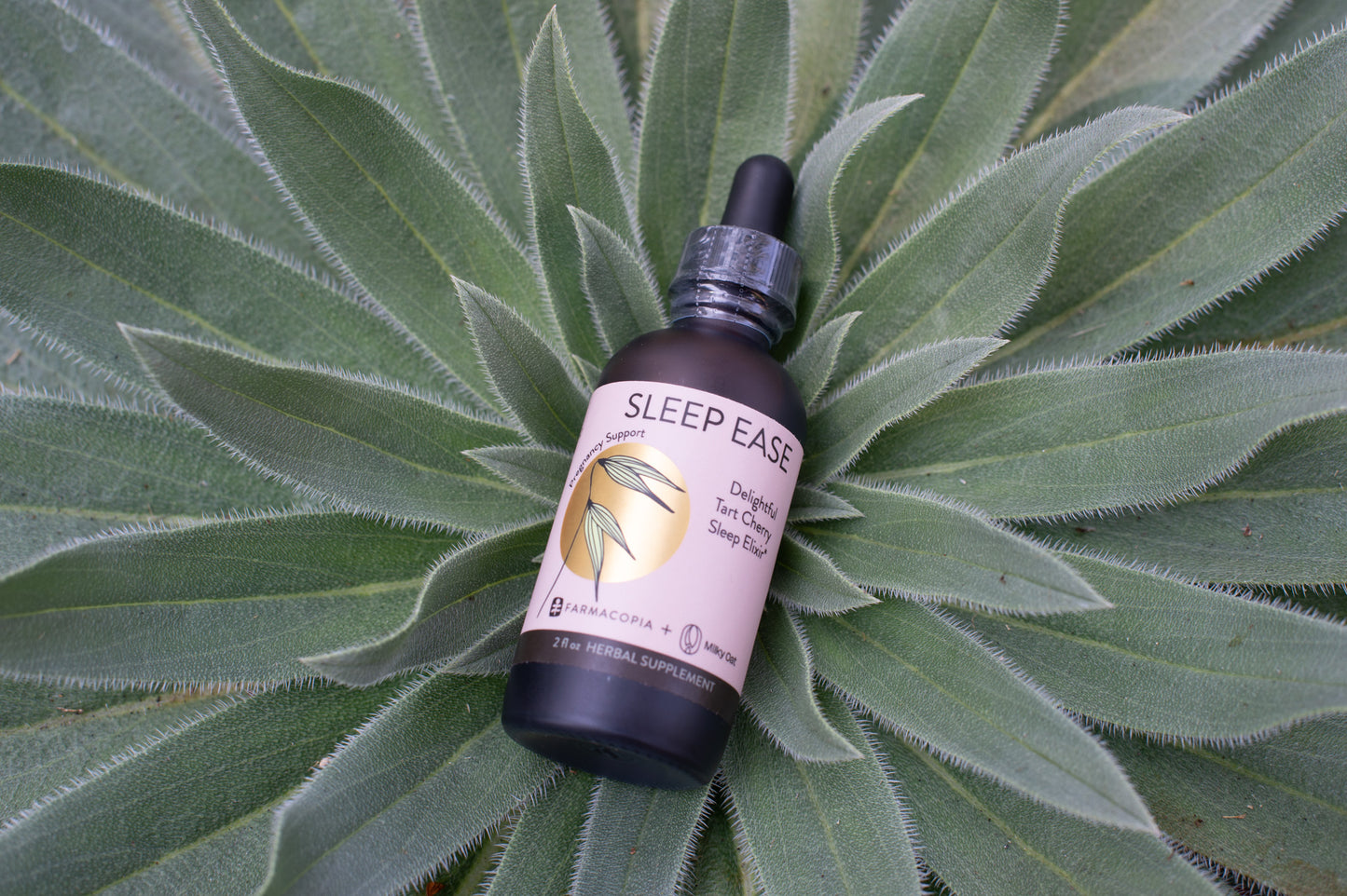 Sleep Ease- Pregnancy Line