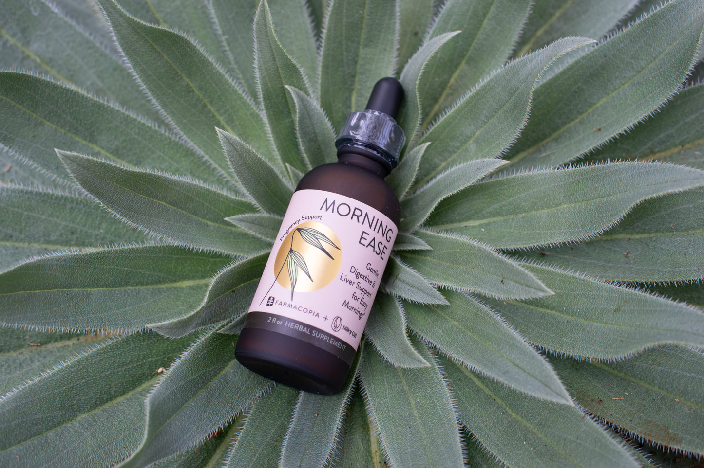 Morning Ease- Pregnancy Line