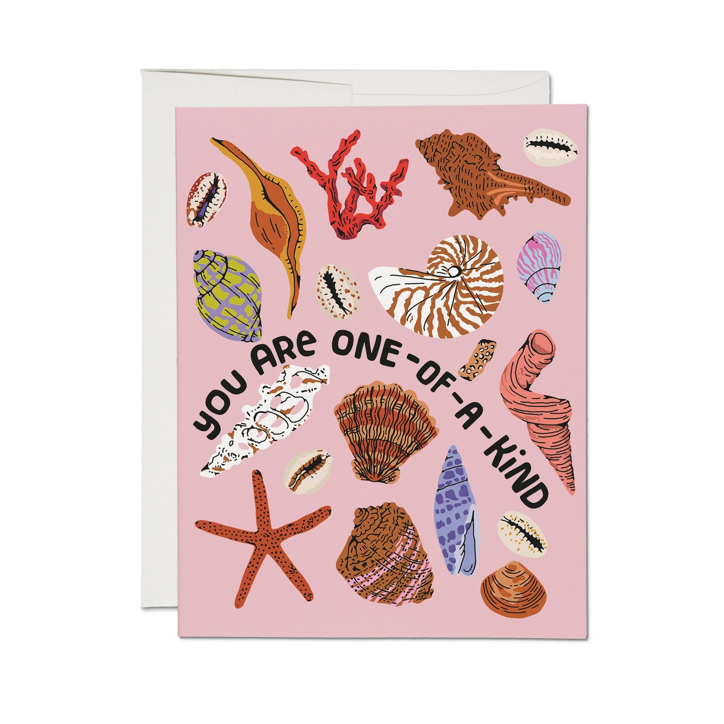 Special Seashell greeting card: Single