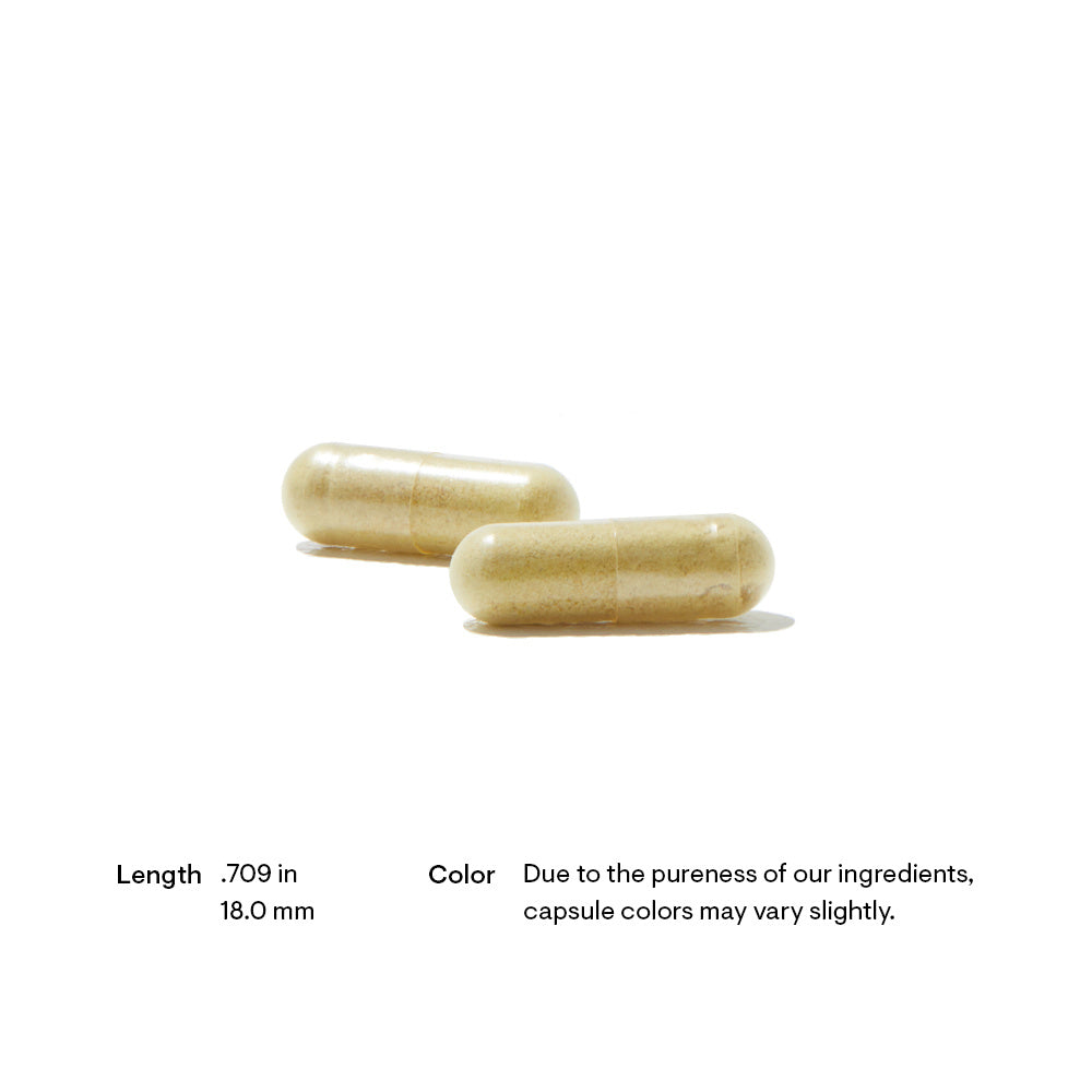 Milk Thistle Phytosome (formerly Siliphos) alt-2