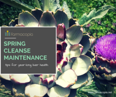 Spring All Year Long—Maintenance