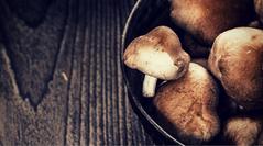 What the Shiitake!