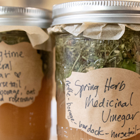 Springtime Medicinal Vinegar