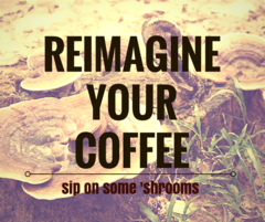 Rise & Shine! Reimagining your morning ritual