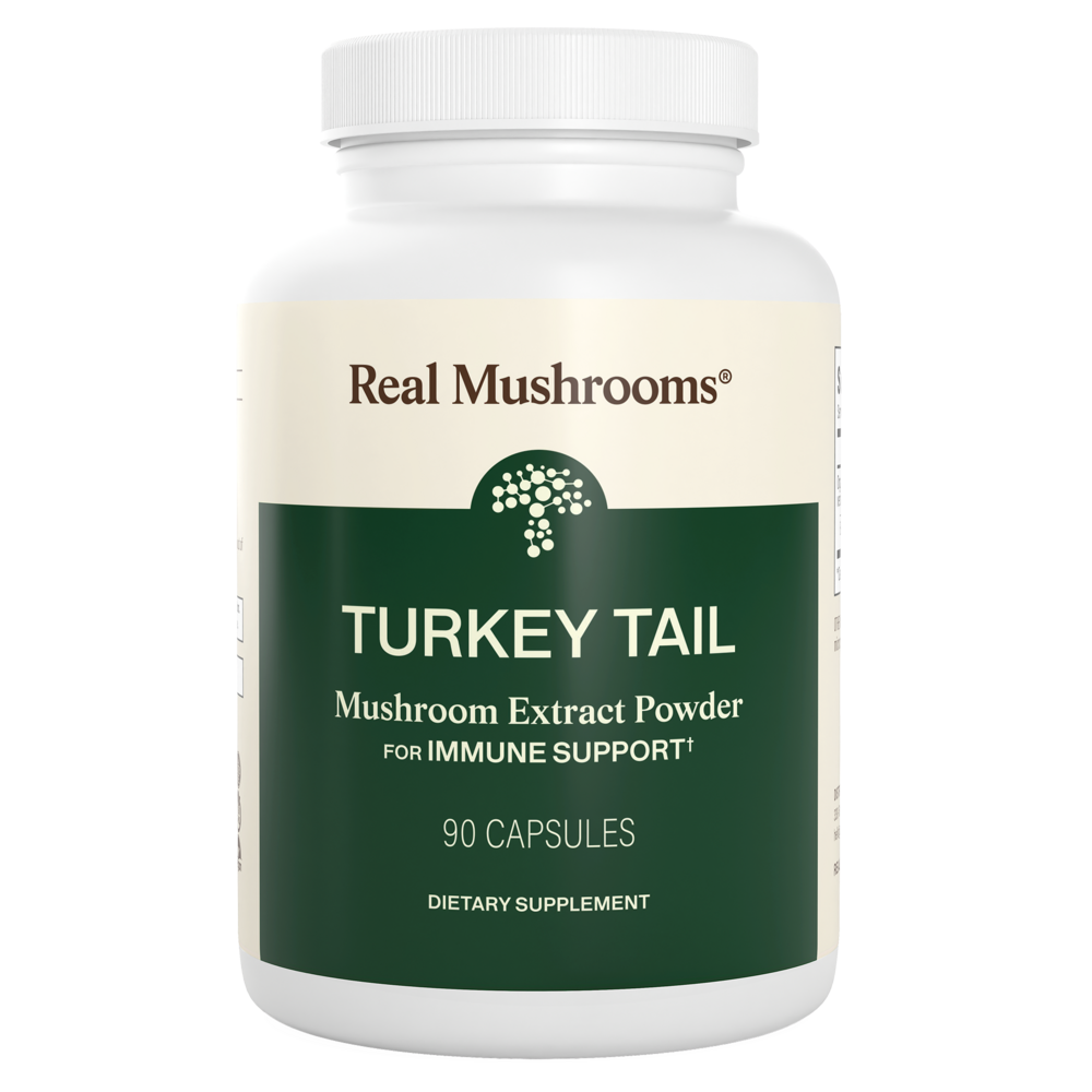 Turkey Tail Mushroom Extract