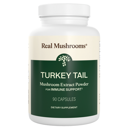 Turkey Tail Mushroom Extract