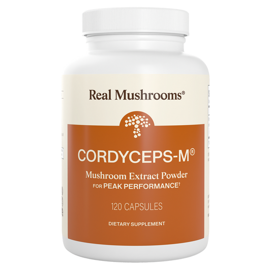 Cordyceps-M Mushroom Extract