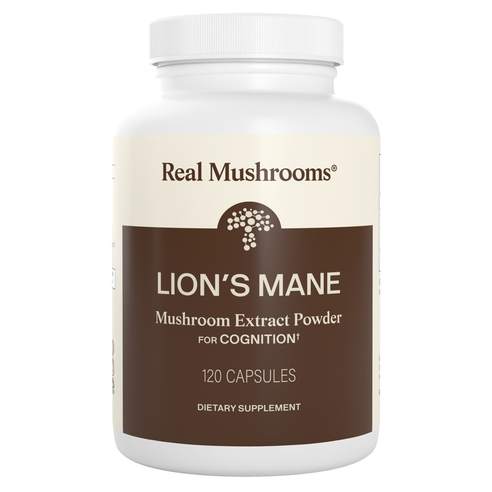 Lion's Mane Extract