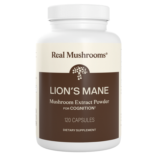 Lion's Mane Extract