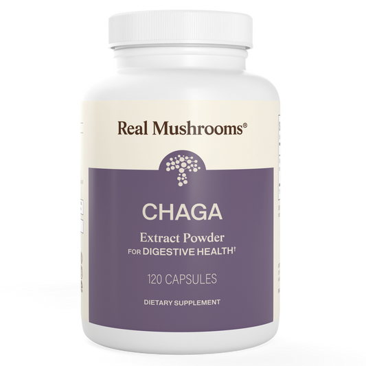 Organic Chaga Extract Cap