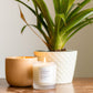 Lavender + Cedar Frosted Candle