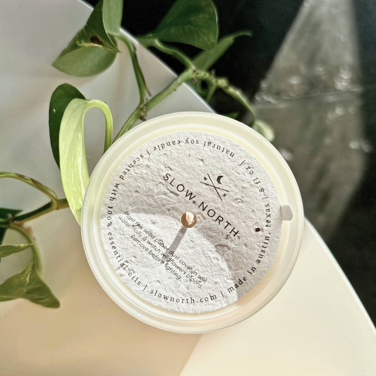 Lavender + Cedar Frosted Candle