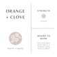 Orange + Clove Frosted Candle