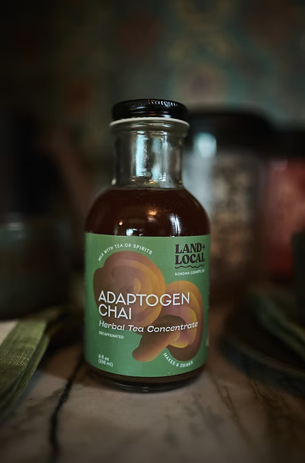 Adaptogen Rooibos Chai Concentrate