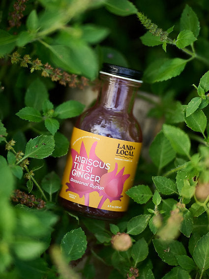 Hibiscus Tulsi Ginger Botanical Syrup