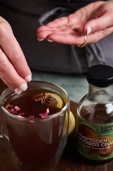 Adaptogen Rooibos Chai Concentrate