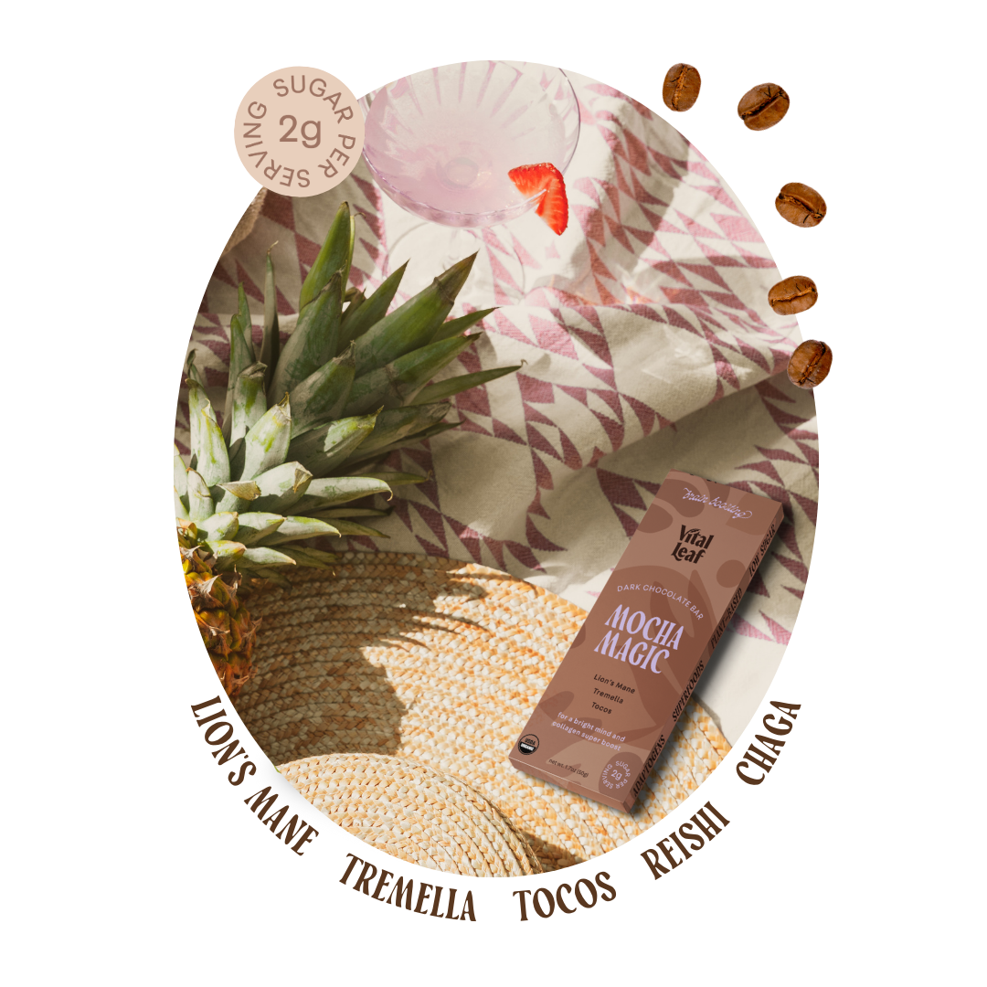 Mocha Magic Mushroom Dark Chocolate Bar for Brain