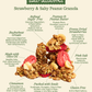 Strawberry & Salty Peanut Granola: Snack Pack