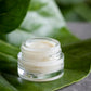 Oleema - Lip Butter