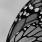 MONARCH All Natural Botanical Perfume Oil