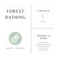 Forest Bathing Frosted Candle