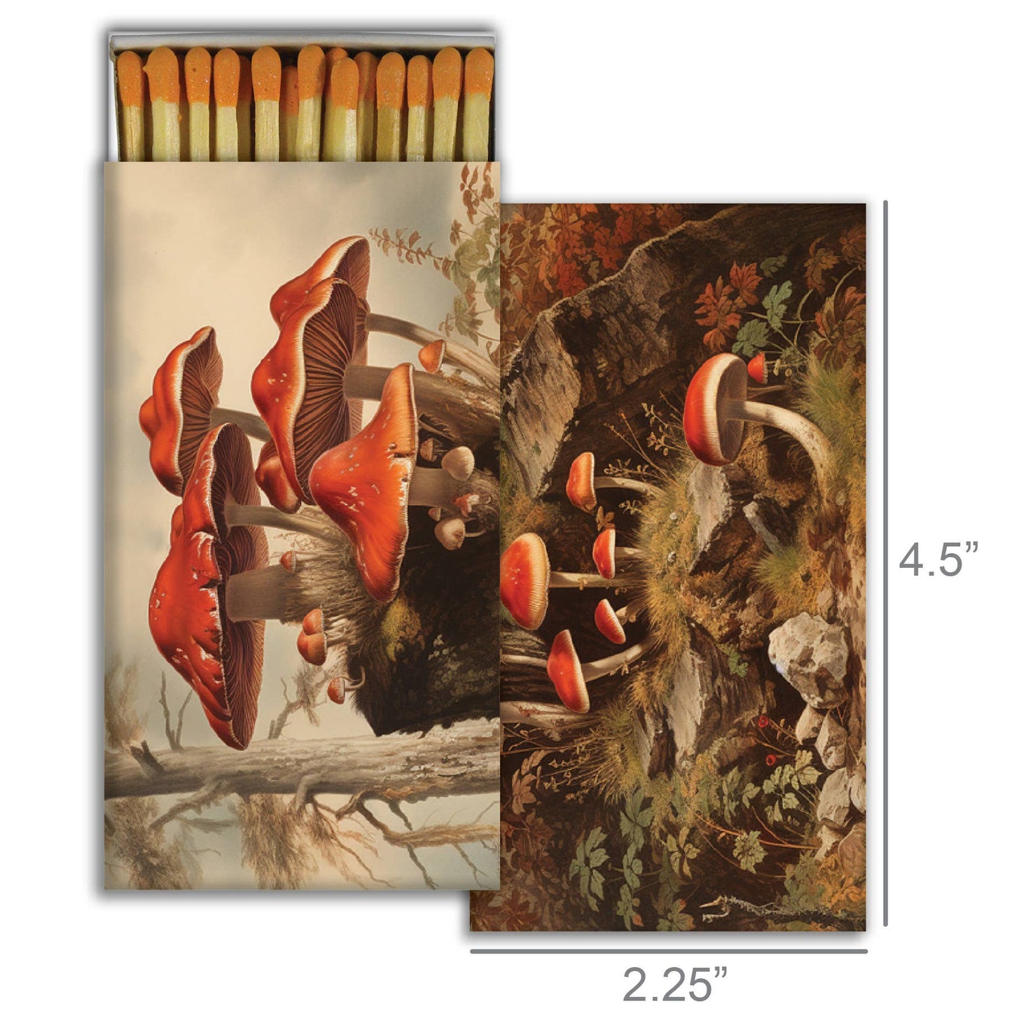 Matches - Fall Mushrooms