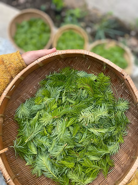 Forest Floor Shrub - Travel Flask