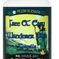 Free + Easy Wanderer Plus 200