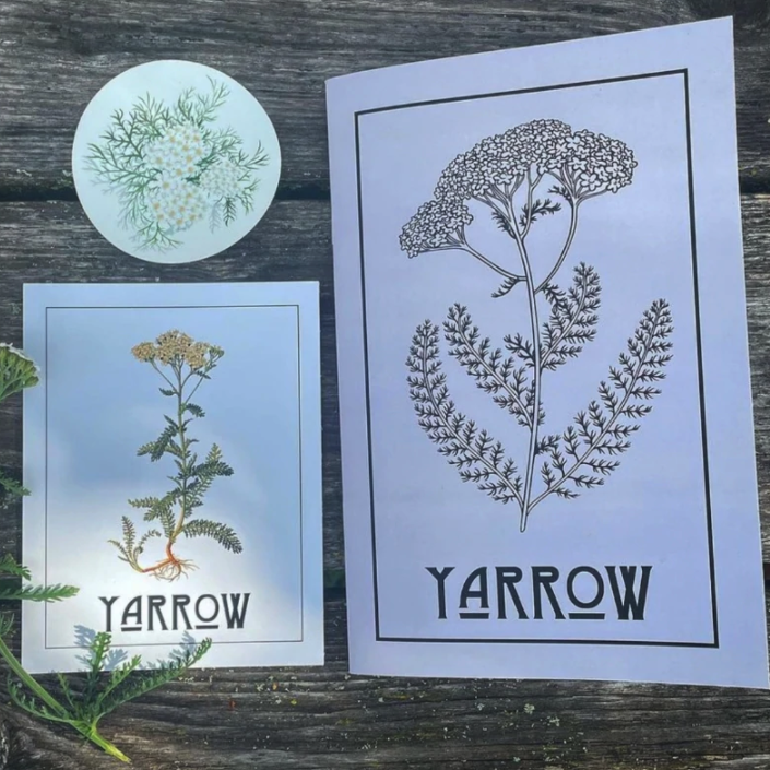 Yarrow Zine