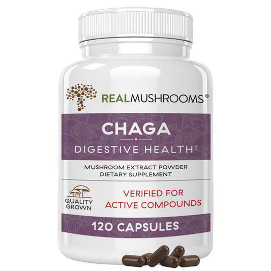 Organic Chaga Extract Cap