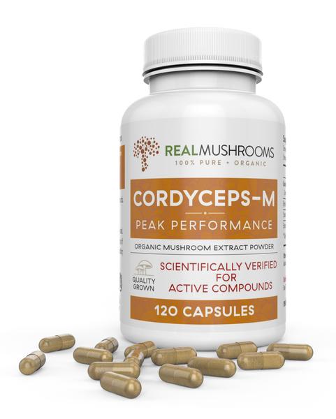 Cordyceps-M Mushroom Extract