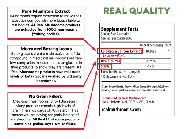 Best Cordyceps Mushroom Extract