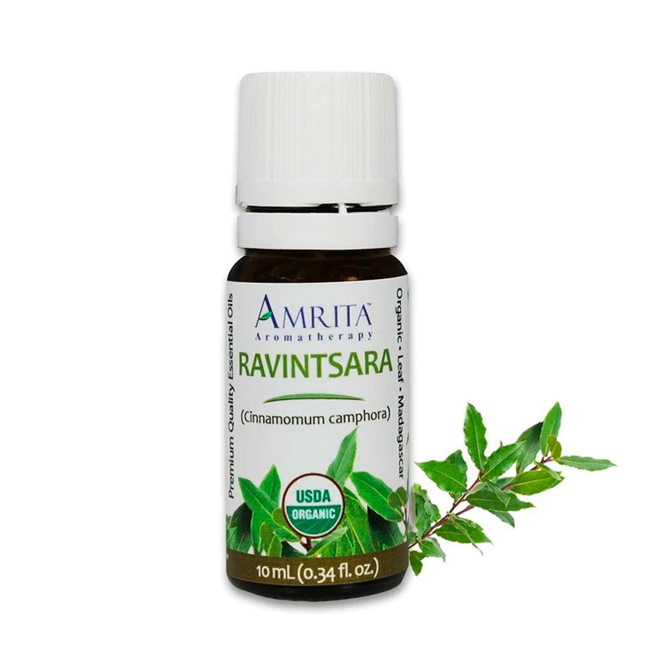 Ravintsara (Cinnamomum camphora) Essential Oil