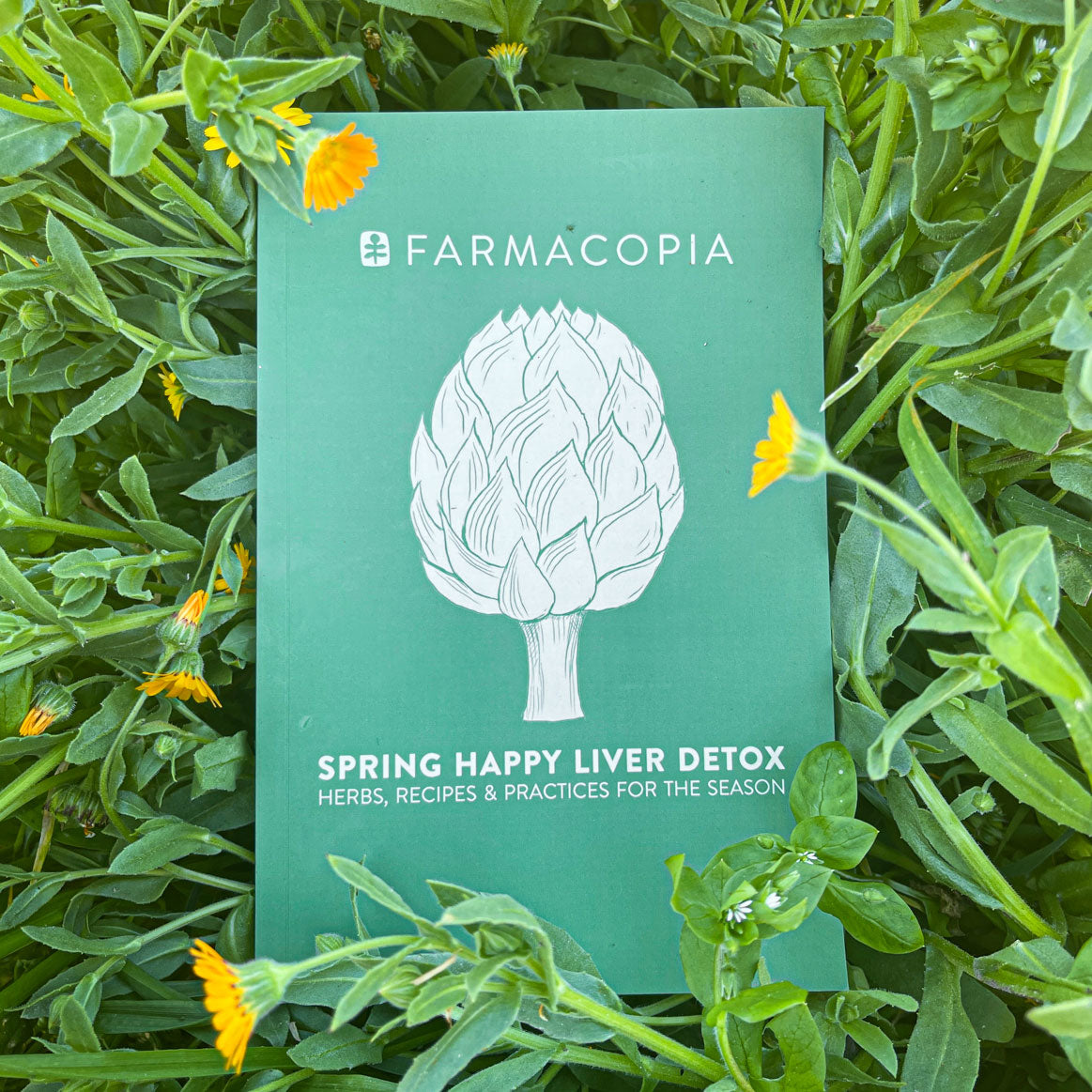 Spring Guide