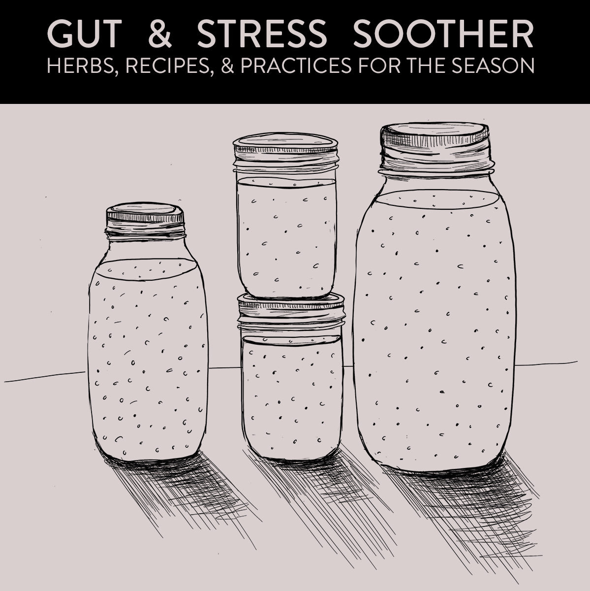 Winter Gut & Stress Soother Guide