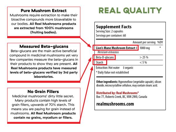 Lion's Mane Extract